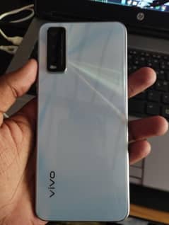 vivo