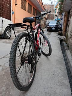 spot cicale