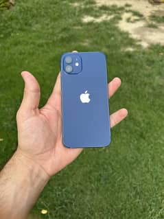 iPhone 12 PTA Approved 256gb