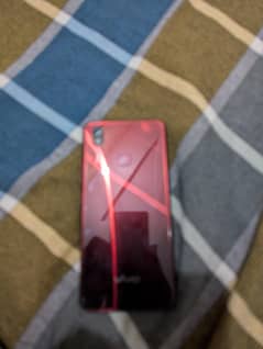 vivo