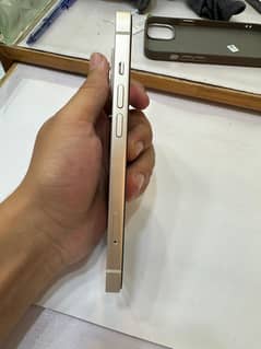 iPhone 13 256 GB PTA