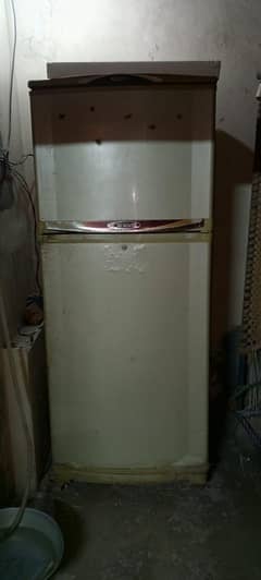 waves fridge