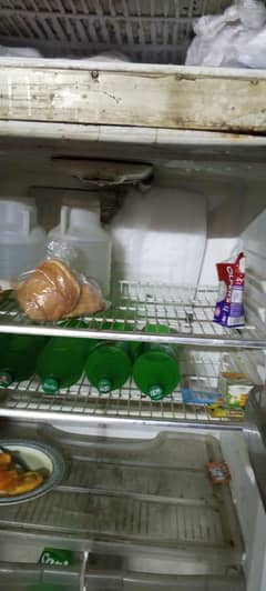 waves fridge