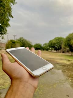 iPhone 6 Plus +92 313 1241596