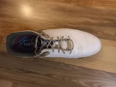 Footjoy Golf shoes