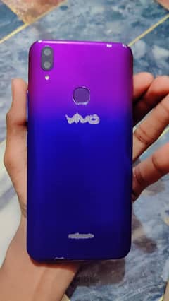 VIVO