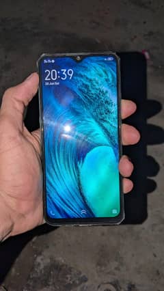vivo