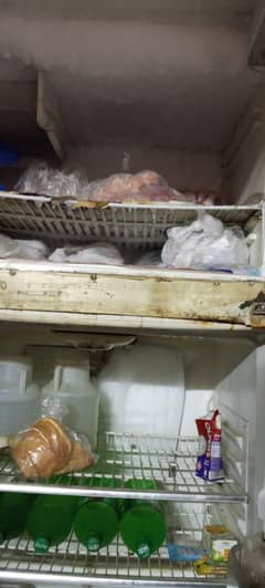 waves fridge