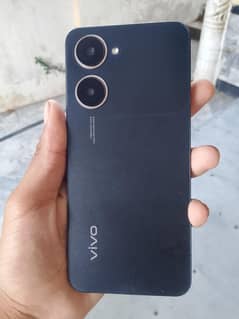 Vivo