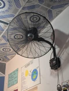 24" Fan full size