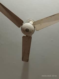 ceiling