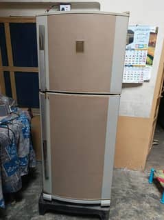 Fridge