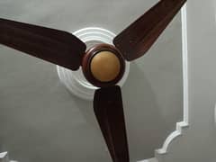 SK fans ceiling fans