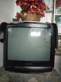 Panasonic