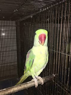 for