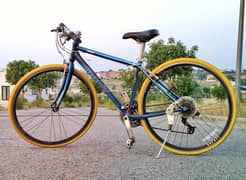 Giant R3