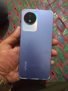 vivo