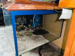Fish Aquarium