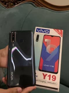 vivo