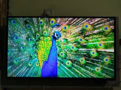 Orient LED 43" TV and Dani Android Device