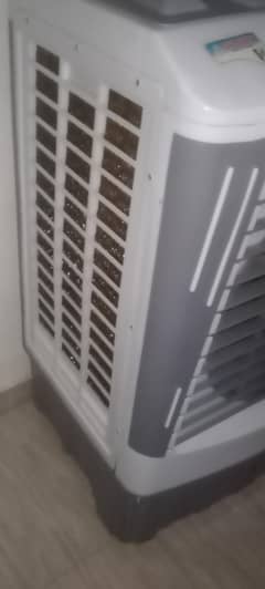 sonex