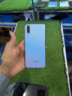Vivo