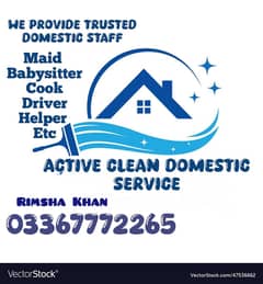 Active clean domestic services