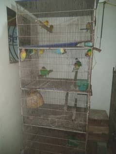 cages
