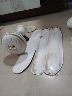 Ceiling Fans