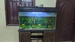 fish tank for sale