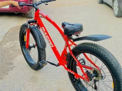 Fat tires imported bicycle