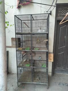 8 portion cage