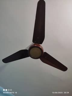Sk Fan