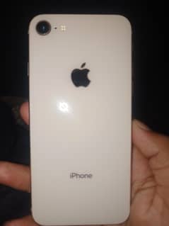 iphone8 WhatsApp contact 03701950047
