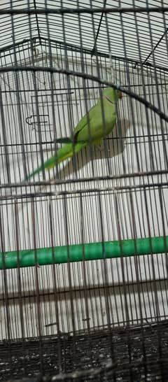 active