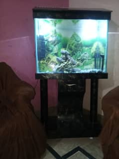 Aquarium
