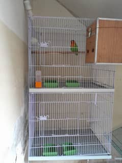 Bird Cage