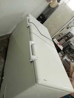 Hair Jumbo Freezer