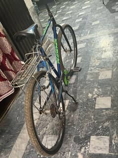 Phoenix cycle 10/9 condition