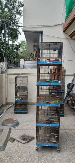 cages