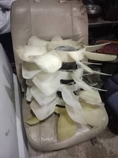 Clutch raotter Ara available in stock