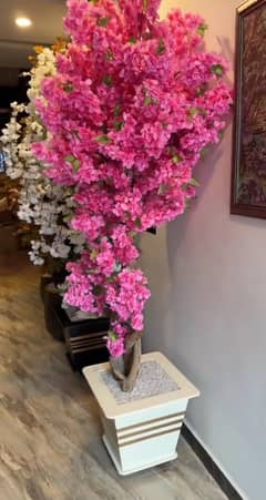 Pink Corner Plant | Home Decoration Piece | Aesthetic Decor