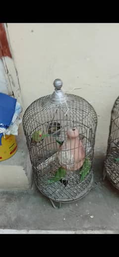 Sabaz bacha ur pair ur pinjara set