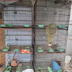 8 portion birds parrot cage good condition cages