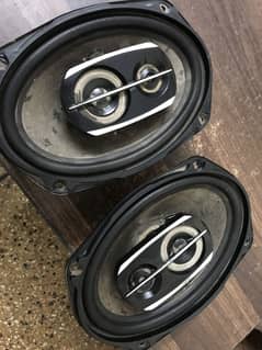 Pioneer