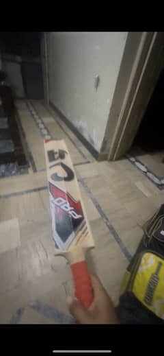 Ca pro 3000 semi new english willow bat.   Use only one mounth