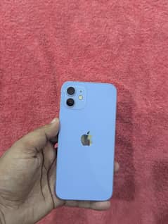 iPhone 12 (128GB)