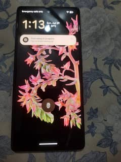 Google pixel 6