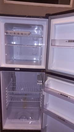 Freeg Frizzer Freezer kitchen equipment