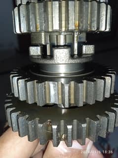 Gear